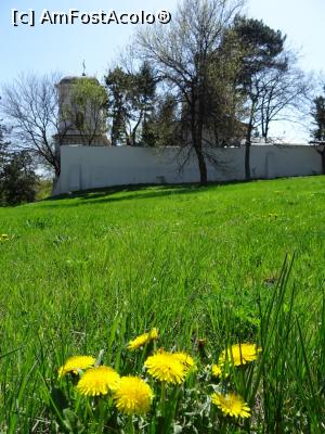 [P15] Ansamblul religios Teiul Doamnei-Ghica (aprilie 2018).  » foto by tata123 🔱
 - 
<span class="allrVoted glyphicon glyphicon-heart hidden" id="av958052"></span>
<a class="m-l-10 hidden" id="sv958052" onclick="voting_Foto_DelVot(,958052,5894)" role="button">șterge vot <span class="glyphicon glyphicon-remove"></span></a>
<a id="v9958052" class=" c-red"  onclick="voting_Foto_SetVot(958052)" role="button"><span class="glyphicon glyphicon-heart-empty"></span> <b>LIKE</b> = Votează poza</a> <img class="hidden"  id="f958052W9" src="/imagini/loader.gif" border="0" /><span class="AjErrMes hidden" id="e958052ErM"></span>