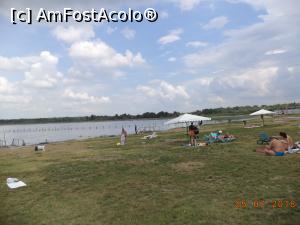 [P05] Lacul Sărat. Plaja » foto by Yersinia Pestis
 - 
<span class="allrVoted glyphicon glyphicon-heart hidden" id="av991008"></span>
<a class="m-l-10 hidden" id="sv991008" onclick="voting_Foto_DelVot(,991008,5897)" role="button">șterge vot <span class="glyphicon glyphicon-remove"></span></a>
<a id="v9991008" class=" c-red"  onclick="voting_Foto_SetVot(991008)" role="button"><span class="glyphicon glyphicon-heart-empty"></span> <b>LIKE</b> = Votează poza</a> <img class="hidden"  id="f991008W9" src="/imagini/loader.gif" border="0" /><span class="AjErrMes hidden" id="e991008ErM"></span>