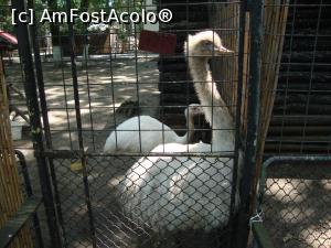 [P08] Salut! Suntem și noi pe aici!  » foto by Floryn81
 - 
<span class="allrVoted glyphicon glyphicon-heart hidden" id="av748594"></span>
<a class="m-l-10 hidden" id="sv748594" onclick="voting_Foto_DelVot(,748594,5899)" role="button">șterge vot <span class="glyphicon glyphicon-remove"></span></a>
<a id="v9748594" class=" c-red"  onclick="voting_Foto_SetVot(748594)" role="button"><span class="glyphicon glyphicon-heart-empty"></span> <b>LIKE</b> = Votează poza</a> <img class="hidden"  id="f748594W9" src="/imagini/loader.gif" border="0" /><span class="AjErrMes hidden" id="e748594ErM"></span>