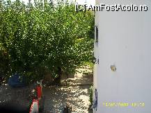 [P03] curtea vilei foarte frumoasa si racoroasaaa » foto by raduu1972
 - 
<span class="allrVoted glyphicon glyphicon-heart hidden" id="av90854"></span>
<a class="m-l-10 hidden" id="sv90854" onclick="voting_Foto_DelVot(,90854,5901)" role="button">șterge vot <span class="glyphicon glyphicon-remove"></span></a>
<a id="v990854" class=" c-red"  onclick="voting_Foto_SetVot(90854)" role="button"><span class="glyphicon glyphicon-heart-empty"></span> <b>LIKE</b> = Votează poza</a> <img class="hidden"  id="f90854W9" src="/imagini/loader.gif" border="0" /><span class="AjErrMes hidden" id="e90854ErM"></span>