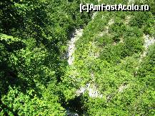 [P51]  -- <small>// FĂRĂ DESCRIERE</small> » foto by lala-cri
 - 
<span class="allrVoted glyphicon glyphicon-heart hidden" id="av96445"></span>
<a class="m-l-10 hidden" id="sv96445" onclick="voting_Foto_DelVot(,96445,5905)" role="button">șterge vot <span class="glyphicon glyphicon-remove"></span></a>
<a id="v996445" class=" c-red"  onclick="voting_Foto_SetVot(96445)" role="button"><span class="glyphicon glyphicon-heart-empty"></span> <b>LIKE</b> = Votează poza</a> <img class="hidden"  id="f96445W9" src="/imagini/loader.gif" border="0" /><span class="AjErrMes hidden" id="e96445ErM"></span>