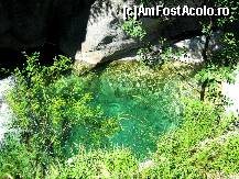 [P60]  -- <small>// FĂRĂ DESCRIERE</small> » foto by lala-cri
 - 
<span class="allrVoted glyphicon glyphicon-heart hidden" id="av96454"></span>
<a class="m-l-10 hidden" id="sv96454" onclick="voting_Foto_DelVot(,96454,5905)" role="button">șterge vot <span class="glyphicon glyphicon-remove"></span></a>
<a id="v996454" class=" c-red"  onclick="voting_Foto_SetVot(96454)" role="button"><span class="glyphicon glyphicon-heart-empty"></span> <b>LIKE</b> = Votează poza</a> <img class="hidden"  id="f96454W9" src="/imagini/loader.gif" border="0" /><span class="AjErrMes hidden" id="e96454ErM"></span>