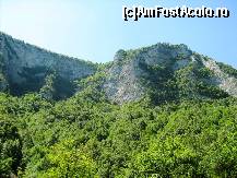 [P63]  -- <small>// FĂRĂ DESCRIERE</small> » foto by lala-cri
 - 
<span class="allrVoted glyphicon glyphicon-heart hidden" id="av96457"></span>
<a class="m-l-10 hidden" id="sv96457" onclick="voting_Foto_DelVot(,96457,5905)" role="button">șterge vot <span class="glyphicon glyphicon-remove"></span></a>
<a id="v996457" class=" c-red"  onclick="voting_Foto_SetVot(96457)" role="button"><span class="glyphicon glyphicon-heart-empty"></span> <b>LIKE</b> = Votează poza</a> <img class="hidden"  id="f96457W9" src="/imagini/loader.gif" border="0" /><span class="AjErrMes hidden" id="e96457ErM"></span>