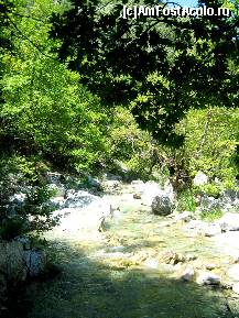 [P70]  -- <small>// FĂRĂ DESCRIERE</small> » foto by lala-cri
 - 
<span class="allrVoted glyphicon glyphicon-heart hidden" id="av96464"></span>
<a class="m-l-10 hidden" id="sv96464" onclick="voting_Foto_DelVot(,96464,5905)" role="button">șterge vot <span class="glyphicon glyphicon-remove"></span></a>
<a id="v996464" class=" c-red"  onclick="voting_Foto_SetVot(96464)" role="button"><span class="glyphicon glyphicon-heart-empty"></span> <b>LIKE</b> = Votează poza</a> <img class="hidden"  id="f96464W9" src="/imagini/loader.gif" border="0" /><span class="AjErrMes hidden" id="e96464ErM"></span>