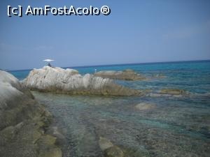 [P14] Portokali Beach - Lupu' Singuratic » foto by RossoNerro
 - 
<span class="allrVoted glyphicon glyphicon-heart hidden" id="av880548"></span>
<a class="m-l-10 hidden" id="sv880548" onclick="voting_Foto_DelVot(,880548,5915)" role="button">șterge vot <span class="glyphicon glyphicon-remove"></span></a>
<a id="v9880548" class=" c-red"  onclick="voting_Foto_SetVot(880548)" role="button"><span class="glyphicon glyphicon-heart-empty"></span> <b>LIKE</b> = Votează poza</a> <img class="hidden"  id="f880548W9" src="/imagini/loader.gif" border="0" /><span class="AjErrMes hidden" id="e880548ErM"></span>