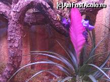 [P10] Microhabitatul unor gandaci colorati » foto by Irina1974
 - 
<span class="allrVoted glyphicon glyphicon-heart hidden" id="av80491"></span>
<a class="m-l-10 hidden" id="sv80491" onclick="voting_Foto_DelVot(,80491,5925)" role="button">șterge vot <span class="glyphicon glyphicon-remove"></span></a>
<a id="v980491" class=" c-red"  onclick="voting_Foto_SetVot(80491)" role="button"><span class="glyphicon glyphicon-heart-empty"></span> <b>LIKE</b> = Votează poza</a> <img class="hidden"  id="f80491W9" src="/imagini/loader.gif" border="0" /><span class="AjErrMes hidden" id="e80491ErM"></span>