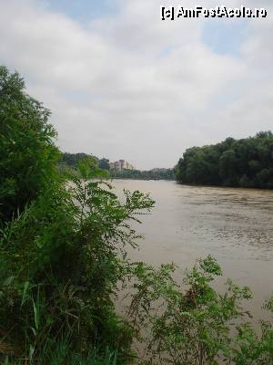 [P10]  -- <small>// FĂRĂ DESCRIERE</small> » foto by Krisko
 - 
<span class="allrVoted glyphicon glyphicon-heart hidden" id="av359862"></span>
<a class="m-l-10 hidden" id="sv359862" onclick="voting_Foto_DelVot(,359862,5949)" role="button">șterge vot <span class="glyphicon glyphicon-remove"></span></a>
<a id="v9359862" class=" c-red"  onclick="voting_Foto_SetVot(359862)" role="button"><span class="glyphicon glyphicon-heart-empty"></span> <b>LIKE</b> = Votează poza</a> <img class="hidden"  id="f359862W9" src="/imagini/loader.gif" border="0" /><span class="AjErrMes hidden" id="e359862ErM"></span>