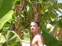 [P50] langa banane... » foto by rudy
 - 
<span class="allrVoted glyphicon glyphicon-heart hidden" id="av81483"></span>
<a class="m-l-10 hidden" id="sv81483" onclick="voting_Foto_DelVot(,81483,5951)" role="button">șterge vot <span class="glyphicon glyphicon-remove"></span></a>
<a id="v981483" class=" c-red"  onclick="voting_Foto_SetVot(81483)" role="button"><span class="glyphicon glyphicon-heart-empty"></span> <b>LIKE</b> = Votează poza</a> <img class="hidden"  id="f81483W9" src="/imagini/loader.gif" border="0" /><span class="AjErrMes hidden" id="e81483ErM"></span>