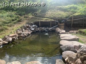 [P03] Iazul cu pastravi » foto by rockgsm
 - 
<span class="allrVoted glyphicon glyphicon-heart hidden" id="av1180144"></span>
<a class="m-l-10 hidden" id="sv1180144" onclick="voting_Foto_DelVot(,1180144,5952)" role="button">șterge vot <span class="glyphicon glyphicon-remove"></span></a>
<a id="v91180144" class=" c-red"  onclick="voting_Foto_SetVot(1180144)" role="button"><span class="glyphicon glyphicon-heart-empty"></span> <b>LIKE</b> = Votează poza</a> <img class="hidden"  id="f1180144W9" src="/imagini/loader.gif" border="0" /><span class="AjErrMes hidden" id="e1180144ErM"></span>