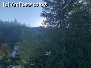 [P05]  -- <small>// FĂRĂ DESCRIERE</small> » foto by rockgsm
 - 
<span class="allrVoted glyphicon glyphicon-heart hidden" id="av1180146"></span>
<a class="m-l-10 hidden" id="sv1180146" onclick="voting_Foto_DelVot(,1180146,5952)" role="button">șterge vot <span class="glyphicon glyphicon-remove"></span></a>
<a id="v91180146" class=" c-red"  onclick="voting_Foto_SetVot(1180146)" role="button"><span class="glyphicon glyphicon-heart-empty"></span> <b>LIKE</b> = Votează poza</a> <img class="hidden"  id="f1180146W9" src="/imagini/loader.gif" border="0" /><span class="AjErrMes hidden" id="e1180146ErM"></span>