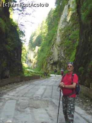 [P11]  -- <small>// FĂRĂ DESCRIERE</small> » foto by Slider Zoltan
 - 
<span class="allrVoted glyphicon glyphicon-heart hidden" id="av754098"></span>
<a class="m-l-10 hidden" id="sv754098" onclick="voting_Foto_DelVot(,754098,5952)" role="button">șterge vot <span class="glyphicon glyphicon-remove"></span></a>
<a id="v9754098" class=" c-red"  onclick="voting_Foto_SetVot(754098)" role="button"><span class="glyphicon glyphicon-heart-empty"></span> <b>LIKE</b> = Votează poza</a> <img class="hidden"  id="f754098W9" src="/imagini/loader.gif" border="0" /><span class="AjErrMes hidden" id="e754098ErM"></span>