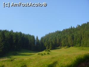 [P16] Peisaj langa pensiune » foto by Slider Zoltan
 - 
<span class="allrVoted glyphicon glyphicon-heart hidden" id="av754103"></span>
<a class="m-l-10 hidden" id="sv754103" onclick="voting_Foto_DelVot(,754103,5952)" role="button">șterge vot <span class="glyphicon glyphicon-remove"></span></a>
<a id="v9754103" class=" c-red"  onclick="voting_Foto_SetVot(754103)" role="button"><span class="glyphicon glyphicon-heart-empty"></span> <b>LIKE</b> = Votează poza</a> <img class="hidden"  id="f754103W9" src="/imagini/loader.gif" border="0" /><span class="AjErrMes hidden" id="e754103ErM"></span>