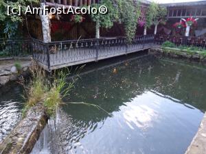 [P08] Lacul cu pești. » foto by tata123 🔱
 - 
<span class="allrVoted glyphicon glyphicon-heart hidden" id="av1312564"></span>
<a class="m-l-10 hidden" id="sv1312564" onclick="voting_Foto_DelVot(,1312564,5977)" role="button">șterge vot <span class="glyphicon glyphicon-remove"></span></a>
<a id="v91312564" class=" c-red"  onclick="voting_Foto_SetVot(1312564)" role="button"><span class="glyphicon glyphicon-heart-empty"></span> <b>LIKE</b> = Votează poza</a> <img class="hidden"  id="f1312564W9" src="/imagini/loader.gif" border="0" /><span class="AjErrMes hidden" id="e1312564ErM"></span>