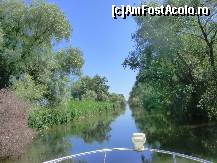 [P05] Pe canalul Cazanel plutim catre lacul Trei Iezere » foto by TORA INGRID
 - 
<span class="allrVoted glyphicon glyphicon-heart hidden" id="av82389"></span>
<a class="m-l-10 hidden" id="sv82389" onclick="voting_Foto_DelVot(,82389,5978)" role="button">șterge vot <span class="glyphicon glyphicon-remove"></span></a>
<a id="v982389" class=" c-red"  onclick="voting_Foto_SetVot(82389)" role="button"><span class="glyphicon glyphicon-heart-empty"></span> <b>LIKE</b> = Votează poza</a> <img class="hidden"  id="f82389W9" src="/imagini/loader.gif" border="0" /><span class="AjErrMes hidden" id="e82389ErM"></span>