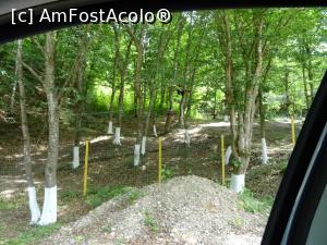 [P21] Parcul de aventură „Escapada” - Sărata Monteoru. » foto by tata123 🔱
 - 
<span class="allrVoted glyphicon glyphicon-heart hidden" id="av1168912"></span>
<a class="m-l-10 hidden" id="sv1168912" onclick="voting_Foto_DelVot(,1168912,5979)" role="button">șterge vot <span class="glyphicon glyphicon-remove"></span></a>
<a id="v91168912" class=" c-red"  onclick="voting_Foto_SetVot(1168912)" role="button"><span class="glyphicon glyphicon-heart-empty"></span> <b>LIKE</b> = Votează poza</a> <img class="hidden"  id="f1168912W9" src="/imagini/loader.gif" border="0" /><span class="AjErrMes hidden" id="e1168912ErM"></span>