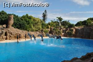 [P07] Loro Parc » foto by MsAnn
 - 
<span class="allrVoted glyphicon glyphicon-heart hidden" id="av860837"></span>
<a class="m-l-10 hidden" id="sv860837" onclick="voting_Foto_DelVot(,860837,5986)" role="button">șterge vot <span class="glyphicon glyphicon-remove"></span></a>
<a id="v9860837" class=" c-red"  onclick="voting_Foto_SetVot(860837)" role="button"><span class="glyphicon glyphicon-heart-empty"></span> <b>LIKE</b> = Votează poza</a> <img class="hidden"  id="f860837W9" src="/imagini/loader.gif" border="0" /><span class="AjErrMes hidden" id="e860837ErM"></span>