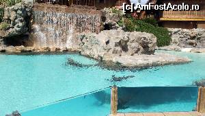 [P20] siam park » foto by G-DANA
 - 
<span class="allrVoted glyphicon glyphicon-heart hidden" id="av524384"></span>
<a class="m-l-10 hidden" id="sv524384" onclick="voting_Foto_DelVot(,524384,5986)" role="button">șterge vot <span class="glyphicon glyphicon-remove"></span></a>
<a id="v9524384" class=" c-red"  onclick="voting_Foto_SetVot(524384)" role="button"><span class="glyphicon glyphicon-heart-empty"></span> <b>LIKE</b> = Votează poza</a> <img class="hidden"  id="f524384W9" src="/imagini/loader.gif" border="0" /><span class="AjErrMes hidden" id="e524384ErM"></span>