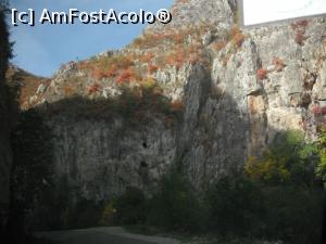 [P10] Toamnă, natură, culoare.  » foto by Zoazore
 - 
<span class="allrVoted glyphicon glyphicon-heart hidden" id="av913899"></span>
<a class="m-l-10 hidden" id="sv913899" onclick="voting_Foto_DelVot(,913899,5991)" role="button">șterge vot <span class="glyphicon glyphicon-remove"></span></a>
<a id="v9913899" class=" c-red"  onclick="voting_Foto_SetVot(913899)" role="button"><span class="glyphicon glyphicon-heart-empty"></span> <b>LIKE</b> = Votează poza</a> <img class="hidden"  id="f913899W9" src="/imagini/loader.gif" border="0" /><span class="AjErrMes hidden" id="e913899ErM"></span>