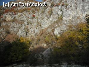 [P07] Măreție, culoare, frumusețe.  » foto by Zoazore
 - 
<span class="allrVoted glyphicon glyphicon-heart hidden" id="av913896"></span>
<a class="m-l-10 hidden" id="sv913896" onclick="voting_Foto_DelVot(,913896,5991)" role="button">șterge vot <span class="glyphicon glyphicon-remove"></span></a>
<a id="v9913896" class=" c-red"  onclick="voting_Foto_SetVot(913896)" role="button"><span class="glyphicon glyphicon-heart-empty"></span> <b>LIKE</b> = Votează poza</a> <img class="hidden"  id="f913896W9" src="/imagini/loader.gif" border="0" /><span class="AjErrMes hidden" id="e913896ErM"></span>
