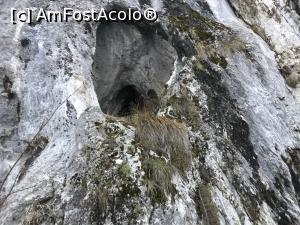 [P16] Cheile Sohodolului, iarna » foto by krisstinna
 - 
<span class="allrVoted glyphicon glyphicon-heart hidden" id="av1049384"></span>
<a class="m-l-10 hidden" id="sv1049384" onclick="voting_Foto_DelVot(,1049384,5991)" role="button">șterge vot <span class="glyphicon glyphicon-remove"></span></a>
<a id="v91049384" class=" c-red"  onclick="voting_Foto_SetVot(1049384)" role="button"><span class="glyphicon glyphicon-heart-empty"></span> <b>LIKE</b> = Votează poza</a> <img class="hidden"  id="f1049384W9" src="/imagini/loader.gif" border="0" /><span class="AjErrMes hidden" id="e1049384ErM"></span>