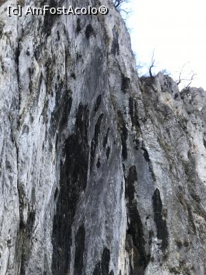 [P17] Cheile Sohodolului, iarna » foto by krisstinna
 - 
<span class="allrVoted glyphicon glyphicon-heart hidden" id="av1049385"></span>
<a class="m-l-10 hidden" id="sv1049385" onclick="voting_Foto_DelVot(,1049385,5991)" role="button">șterge vot <span class="glyphicon glyphicon-remove"></span></a>
<a id="v91049385" class=" c-red"  onclick="voting_Foto_SetVot(1049385)" role="button"><span class="glyphicon glyphicon-heart-empty"></span> <b>LIKE</b> = Votează poza</a> <img class="hidden"  id="f1049385W9" src="/imagini/loader.gif" border="0" /><span class="AjErrMes hidden" id="e1049385ErM"></span>