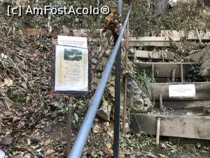 [P28] Anevoioasă cale de urcat spre grotă » foto by krisstinna
 - 
<span class="allrVoted glyphicon glyphicon-heart hidden" id="av1049396"></span>
<a class="m-l-10 hidden" id="sv1049396" onclick="voting_Foto_DelVot(,1049396,5991)" role="button">șterge vot <span class="glyphicon glyphicon-remove"></span></a>
<a id="v91049396" class=" c-red"  onclick="voting_Foto_SetVot(1049396)" role="button"><span class="glyphicon glyphicon-heart-empty"></span> <b>LIKE</b> = Votează poza</a> <img class="hidden"  id="f1049396W9" src="/imagini/loader.gif" border="0" /><span class="AjErrMes hidden" id="e1049396ErM"></span>