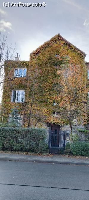 [P07] ...casa verde.... » foto by alex1987sb
 - 
<span class="allrVoted glyphicon glyphicon-heart hidden" id="av1506798"></span>
<a class="m-l-10 hidden" id="sv1506798" onclick="voting_Foto_DelVot(,1506798,5995)" role="button">șterge vot <span class="glyphicon glyphicon-remove"></span></a>
<a id="v91506798" class=" c-red"  onclick="voting_Foto_SetVot(1506798)" role="button"><span class="glyphicon glyphicon-heart-empty"></span> <b>LIKE</b> = Votează poza</a> <img class="hidden"  id="f1506798W9" src="/imagini/loader.gif" border="0" /><span class="AjErrMes hidden" id="e1506798ErM"></span>