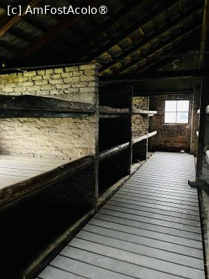 [P22] Auschwitz trip » foto by HelloAlex
 - 
<span class="allrVoted glyphicon glyphicon-heart hidden" id="av1398017"></span>
<a class="m-l-10 hidden" id="sv1398017" onclick="voting_Foto_DelVot(,1398017,5995)" role="button">șterge vot <span class="glyphicon glyphicon-remove"></span></a>
<a id="v91398017" class=" c-red"  onclick="voting_Foto_SetVot(1398017)" role="button"><span class="glyphicon glyphicon-heart-empty"></span> <b>LIKE</b> = Votează poza</a> <img class="hidden"  id="f1398017W9" src="/imagini/loader.gif" border="0" /><span class="AjErrMes hidden" id="e1398017ErM"></span>