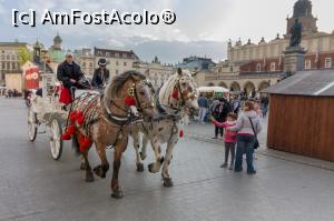 [P12] circula in Rynek Glowny, in jurul pietei » foto by marijuan
 - 
<span class="allrVoted glyphicon glyphicon-heart hidden" id="av1069311"></span>
<a class="m-l-10 hidden" id="sv1069311" onclick="voting_Foto_DelVot(,1069311,5995)" role="button">șterge vot <span class="glyphicon glyphicon-remove"></span></a>
<a id="v91069311" class=" c-red"  onclick="voting_Foto_SetVot(1069311)" role="button"><span class="glyphicon glyphicon-heart-empty"></span> <b>LIKE</b> = Votează poza</a> <img class="hidden"  id="f1069311W9" src="/imagini/loader.gif" border="0" /><span class="AjErrMes hidden" id="e1069311ErM"></span>
