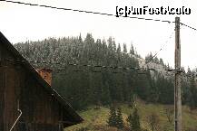 [P05] La limita dintre brazii ninsi si cei feriti de ninsoare » foto by liviadavidescu
 - 
<span class="allrVoted glyphicon glyphicon-heart hidden" id="av212893"></span>
<a class="m-l-10 hidden" id="sv212893" onclick="voting_Foto_DelVot(,212893,6008)" role="button">șterge vot <span class="glyphicon glyphicon-remove"></span></a>
<a id="v9212893" class=" c-red"  onclick="voting_Foto_SetVot(212893)" role="button"><span class="glyphicon glyphicon-heart-empty"></span> <b>LIKE</b> = Votează poza</a> <img class="hidden"  id="f212893W9" src="/imagini/loader.gif" border="0" /><span class="AjErrMes hidden" id="e212893ErM"></span>
