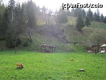 [P10] Curtea pensiunii » foto by romanitzaa
 - 
<span class="allrVoted glyphicon glyphicon-heart hidden" id="av283293"></span>
<a class="m-l-10 hidden" id="sv283293" onclick="voting_Foto_DelVot(,283293,6008)" role="button">șterge vot <span class="glyphicon glyphicon-remove"></span></a>
<a id="v9283293" class=" c-red"  onclick="voting_Foto_SetVot(283293)" role="button"><span class="glyphicon glyphicon-heart-empty"></span> <b>LIKE</b> = Votează poza</a> <img class="hidden"  id="f283293W9" src="/imagini/loader.gif" border="0" /><span class="AjErrMes hidden" id="e283293ErM"></span>