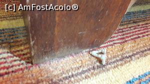 [P37] Resturi de jucarii gasite pe mocheta tocita » foto by Max77
 - 
<span class="allrVoted glyphicon glyphicon-heart hidden" id="av1025168"></span>
<a class="m-l-10 hidden" id="sv1025168" onclick="voting_Foto_DelVot(,1025168,6012)" role="button">șterge vot <span class="glyphicon glyphicon-remove"></span></a>
<a id="v91025168" class=" c-red"  onclick="voting_Foto_SetVot(1025168)" role="button"><span class="glyphicon glyphicon-heart-empty"></span> <b>LIKE</b> = Votează poza</a> <img class="hidden"  id="f1025168W9" src="/imagini/loader.gif" border="0" /><span class="AjErrMes hidden" id="e1025168ErM"></span>