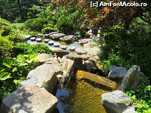 [P13] Hillwood Gardens gradina japoneza » foto by delia58
 - 
<span class="allrVoted glyphicon glyphicon-heart hidden" id="av520329"></span>
<a class="m-l-10 hidden" id="sv520329" onclick="voting_Foto_DelVot(,520329,6029)" role="button">șterge vot <span class="glyphicon glyphicon-remove"></span></a>
<a id="v9520329" class=" c-red"  onclick="voting_Foto_SetVot(520329)" role="button"><span class="glyphicon glyphicon-heart-empty"></span> <b>LIKE</b> = Votează poza</a> <img class="hidden"  id="f520329W9" src="/imagini/loader.gif" border="0" /><span class="AjErrMes hidden" id="e520329ErM"></span>