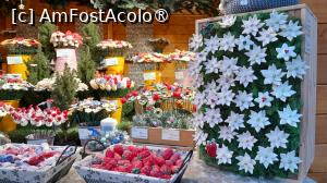 [P34] floare de colt din ceramica, am cumparat... » foto by Yolanda
 - 
<span class="allrVoted glyphicon glyphicon-heart hidden" id="av1407080"></span>
<a class="m-l-10 hidden" id="sv1407080" onclick="voting_Foto_DelVot(,1407080,6030)" role="button">șterge vot <span class="glyphicon glyphicon-remove"></span></a>
<a id="v91407080" class=" c-red"  onclick="voting_Foto_SetVot(1407080)" role="button"><span class="glyphicon glyphicon-heart-empty"></span> <b>LIKE</b> = Votează poza</a> <img class="hidden"  id="f1407080W9" src="/imagini/loader.gif" border="0" /><span class="AjErrMes hidden" id="e1407080ErM"></span>