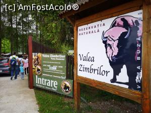 [P15] Intrarea la Rezervația Valea Zimbrilor, Acriș, Vama Buzăului » foto by crismis
 - 
<span class="allrVoted glyphicon glyphicon-heart hidden" id="av1167090"></span>
<a class="m-l-10 hidden" id="sv1167090" onclick="voting_Foto_DelVot(,1167090,6050)" role="button">șterge vot <span class="glyphicon glyphicon-remove"></span></a>
<a id="v91167090" class=" c-red"  onclick="voting_Foto_SetVot(1167090)" role="button"><span class="glyphicon glyphicon-heart-empty"></span> <b>LIKE</b> = Votează poza</a> <img class="hidden"  id="f1167090W9" src="/imagini/loader.gif" border="0" /><span class="AjErrMes hidden" id="e1167090ErM"></span>