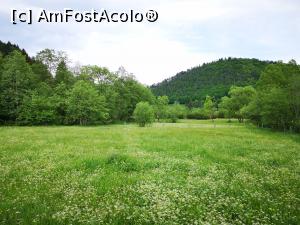 [P05] O poiană cu flori în apropierea locului de parcare de la Cascada Urlatoarea » foto by crismis
 - 
<span class="allrVoted glyphicon glyphicon-heart hidden" id="av1167080"></span>
<a class="m-l-10 hidden" id="sv1167080" onclick="voting_Foto_DelVot(,1167080,6050)" role="button">șterge vot <span class="glyphicon glyphicon-remove"></span></a>
<a id="v91167080" class=" c-red"  onclick="voting_Foto_SetVot(1167080)" role="button"><span class="glyphicon glyphicon-heart-empty"></span> <b>LIKE</b> = Votează poza</a> <img class="hidden"  id="f1167080W9" src="/imagini/loader.gif" border="0" /><span class="AjErrMes hidden" id="e1167080ErM"></span>