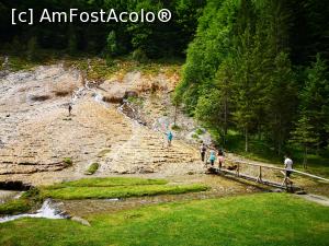 [P08] Cascada Urlatoarea » foto by crismis
 - 
<span class="allrVoted glyphicon glyphicon-heart hidden" id="av1167083"></span>
<a class="m-l-10 hidden" id="sv1167083" onclick="voting_Foto_DelVot(,1167083,6050)" role="button">șterge vot <span class="glyphicon glyphicon-remove"></span></a>
<a id="v91167083" class=" c-red"  onclick="voting_Foto_SetVot(1167083)" role="button"><span class="glyphicon glyphicon-heart-empty"></span> <b>LIKE</b> = Votează poza</a> <img class="hidden"  id="f1167083W9" src="/imagini/loader.gif" border="0" /><span class="AjErrMes hidden" id="e1167083ErM"></span>
