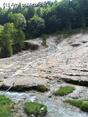 [P08] Cascada Urlatoarea din alt unghi » foto by olteanul2010
 - 
<span class="allrVoted glyphicon glyphicon-heart hidden" id="av1096241"></span>
<a class="m-l-10 hidden" id="sv1096241" onclick="voting_Foto_DelVot(,1096241,6050)" role="button">șterge vot <span class="glyphicon glyphicon-remove"></span></a>
<a id="v91096241" class=" c-red"  onclick="voting_Foto_SetVot(1096241)" role="button"><span class="glyphicon glyphicon-heart-empty"></span> <b>LIKE</b> = Votează poza</a> <img class="hidden"  id="f1096241W9" src="/imagini/loader.gif" border="0" /><span class="AjErrMes hidden" id="e1096241ErM"></span>