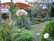 [P16] Gradina Hotelului Dana - Venus » foto by romanitzaa
 - 
<span class="allrVoted glyphicon glyphicon-heart hidden" id="av134485"></span>
<a class="m-l-10 hidden" id="sv134485" onclick="voting_Foto_DelVot(,134485,6052)" role="button">șterge vot <span class="glyphicon glyphicon-remove"></span></a>
<a id="v9134485" class=" c-red"  onclick="voting_Foto_SetVot(134485)" role="button"><span class="glyphicon glyphicon-heart-empty"></span> <b>LIKE</b> = Votează poza</a> <img class="hidden"  id="f134485W9" src="/imagini/loader.gif" border="0" /><span class="AjErrMes hidden" id="e134485ErM"></span>