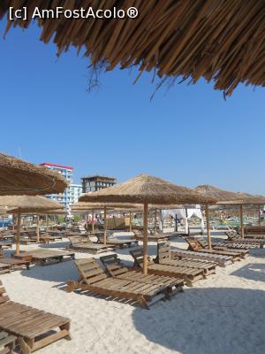 [P02] Plaja Argos din Mamaia.  » foto by tata123 🔱
 - 
<span class="allrVoted glyphicon glyphicon-heart hidden" id="av773072"></span>
<a class="m-l-10 hidden" id="sv773072" onclick="voting_Foto_DelVot(,773072,6052)" role="button">șterge vot <span class="glyphicon glyphicon-remove"></span></a>
<a id="v9773072" class=" c-red"  onclick="voting_Foto_SetVot(773072)" role="button"><span class="glyphicon glyphicon-heart-empty"></span> <b>LIKE</b> = Votează poza</a> <img class="hidden"  id="f773072W9" src="/imagini/loader.gif" border="0" /><span class="AjErrMes hidden" id="e773072ErM"></span>