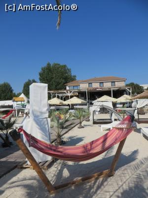 [P04] Plaja Argos din Mamaia.  » foto by tata123 🔱
 - 
<span class="allrVoted glyphicon glyphicon-heart hidden" id="av773074"></span>
<a class="m-l-10 hidden" id="sv773074" onclick="voting_Foto_DelVot(,773074,6052)" role="button">șterge vot <span class="glyphicon glyphicon-remove"></span></a>
<a id="v9773074" class=" c-red"  onclick="voting_Foto_SetVot(773074)" role="button"><span class="glyphicon glyphicon-heart-empty"></span> <b>LIKE</b> = Votează poza</a> <img class="hidden"  id="f773074W9" src="/imagini/loader.gif" border="0" /><span class="AjErrMes hidden" id="e773074ErM"></span>