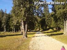 [P20] Pe jos prin pădure.  » foto by albena
 - 
<span class="allrVoted glyphicon glyphicon-heart hidden" id="av480661"></span>
<a class="m-l-10 hidden" id="sv480661" onclick="voting_Foto_DelVot(,480661,6055)" role="button">șterge vot <span class="glyphicon glyphicon-remove"></span></a>
<a id="v9480661" class=" c-red"  onclick="voting_Foto_SetVot(480661)" role="button"><span class="glyphicon glyphicon-heart-empty"></span> <b>LIKE</b> = Votează poza</a> <img class="hidden"  id="f480661W9" src="/imagini/loader.gif" border="0" /><span class="AjErrMes hidden" id="e480661ErM"></span>