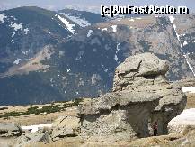 [P14] Zona Babele intr-o zi de 1 mai foarte calduroasa si senina » foto by vlado2
 - 
<span class="allrVoted glyphicon glyphicon-heart hidden" id="av313562"></span>
<a class="m-l-10 hidden" id="sv313562" onclick="voting_Foto_DelVot(,313562,6055)" role="button">șterge vot <span class="glyphicon glyphicon-remove"></span></a>
<a id="v9313562" class=" c-red"  onclick="voting_Foto_SetVot(313562)" role="button"><span class="glyphicon glyphicon-heart-empty"></span> <b>LIKE</b> = Votează poza</a> <img class="hidden"  id="f313562W9" src="/imagini/loader.gif" border="0" /><span class="AjErrMes hidden" id="e313562ErM"></span>