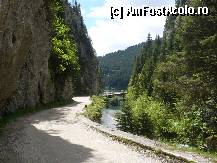 [P02] Cheile Tătarului şi brazii care stau de pază » foto by STEFAN I
 - 
<span class="allrVoted glyphicon glyphicon-heart hidden" id="av329381"></span>
<a class="m-l-10 hidden" id="sv329381" onclick="voting_Foto_DelVot(,329381,6055)" role="button">șterge vot <span class="glyphicon glyphicon-remove"></span></a>
<a id="v9329381" class=" c-red"  onclick="voting_Foto_SetVot(329381)" role="button"><span class="glyphicon glyphicon-heart-empty"></span> <b>LIKE</b> = Votează poza</a> <img class="hidden"  id="f329381W9" src="/imagini/loader.gif" border="0" /><span class="AjErrMes hidden" id="e329381ErM"></span>