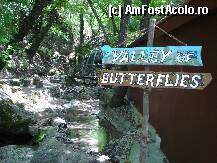 [P12] VALEA FLUTURILOR » foto by simona sabau
 - 
<span class="allrVoted glyphicon glyphicon-heart hidden" id="av86311"></span>
<a class="m-l-10 hidden" id="sv86311" onclick="voting_Foto_DelVot(,86311,6057)" role="button">șterge vot <span class="glyphicon glyphicon-remove"></span></a>
<a id="v986311" class=" c-red"  onclick="voting_Foto_SetVot(86311)" role="button"><span class="glyphicon glyphicon-heart-empty"></span> <b>LIKE</b> = Votează poza</a> <img class="hidden"  id="f86311W9" src="/imagini/loader.gif" border="0" /><span class="AjErrMes hidden" id="e86311ErM"></span>