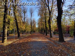 [P17] La pas prin Parcul Central » foto by crismis
 - 
<span class="allrVoted glyphicon glyphicon-heart hidden" id="av1426481"></span>
<a class="m-l-10 hidden" id="sv1426481" onclick="voting_Foto_DelVot(,1426481,6063)" role="button">șterge vot <span class="glyphicon glyphicon-remove"></span></a>
<a id="v91426481" class=" c-red"  onclick="voting_Foto_SetVot(1426481)" role="button"><span class="glyphicon glyphicon-heart-empty"></span> <b>LIKE</b> = Votează poza</a> <img class="hidden"  id="f1426481W9" src="/imagini/loader.gif" border="0" /><span class="AjErrMes hidden" id="e1426481ErM"></span>