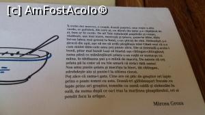 [P09] Așe se face o zamă de șelată :)  » foto by crismis
 - 
<span class="allrVoted glyphicon glyphicon-heart hidden" id="av722384"></span>
<a class="m-l-10 hidden" id="sv722384" onclick="voting_Foto_DelVot(,722384,6063)" role="button">șterge vot <span class="glyphicon glyphicon-remove"></span></a>
<a id="v9722384" class=" c-red"  onclick="voting_Foto_SetVot(722384)" role="button"><span class="glyphicon glyphicon-heart-empty"></span> <b>LIKE</b> = Votează poza</a> <img class="hidden"  id="f722384W9" src="/imagini/loader.gif" border="0" /><span class="AjErrMes hidden" id="e722384ErM"></span>