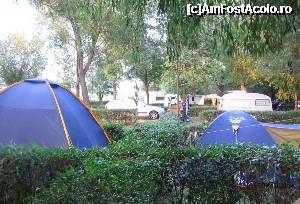 [P37] Camping - Zalakaros » foto by csaszar78
 - 
<span class="allrVoted glyphicon glyphicon-heart hidden" id="av369527"></span>
<a class="m-l-10 hidden" id="sv369527" onclick="voting_Foto_DelVot(,369527,6066)" role="button">șterge vot <span class="glyphicon glyphicon-remove"></span></a>
<a id="v9369527" class=" c-red"  onclick="voting_Foto_SetVot(369527)" role="button"><span class="glyphicon glyphicon-heart-empty"></span> <b>LIKE</b> = Votează poza</a> <img class="hidden"  id="f369527W9" src="/imagini/loader.gif" border="0" /><span class="AjErrMes hidden" id="e369527ErM"></span>