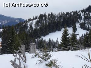 [P08] Și aici tot în România suntem :) - Iarna în Fundata (2022). » foto by tata123 🔱
 - 
<span class="allrVoted glyphicon glyphicon-heart hidden" id="av1282035"></span>
<a class="m-l-10 hidden" id="sv1282035" onclick="voting_Foto_DelVot(,1282035,6071)" role="button">șterge vot <span class="glyphicon glyphicon-remove"></span></a>
<a id="v91282035" class=" c-red"  onclick="voting_Foto_SetVot(1282035)" role="button"><span class="glyphicon glyphicon-heart-empty"></span> <b>LIKE</b> = Votează poza</a> <img class="hidden"  id="f1282035W9" src="/imagini/loader.gif" border="0" /><span class="AjErrMes hidden" id="e1282035ErM"></span>