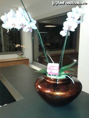 [P20] Receptie PrincessGolden Beach » foto by adriatica
 - 
<span class="allrVoted glyphicon glyphicon-heart hidden" id="av696527"></span>
<a class="m-l-10 hidden" id="sv696527" onclick="voting_Foto_DelVot(,696527,6080)" role="button">șterge vot <span class="glyphicon glyphicon-remove"></span></a>
<a id="v9696527" class=" c-red"  onclick="voting_Foto_SetVot(696527)" role="button"><span class="glyphicon glyphicon-heart-empty"></span> <b>LIKE</b> = Votează poza</a> <img class="hidden"  id="f696527W9" src="/imagini/loader.gif" border="0" /><span class="AjErrMes hidden" id="e696527ErM"></span>